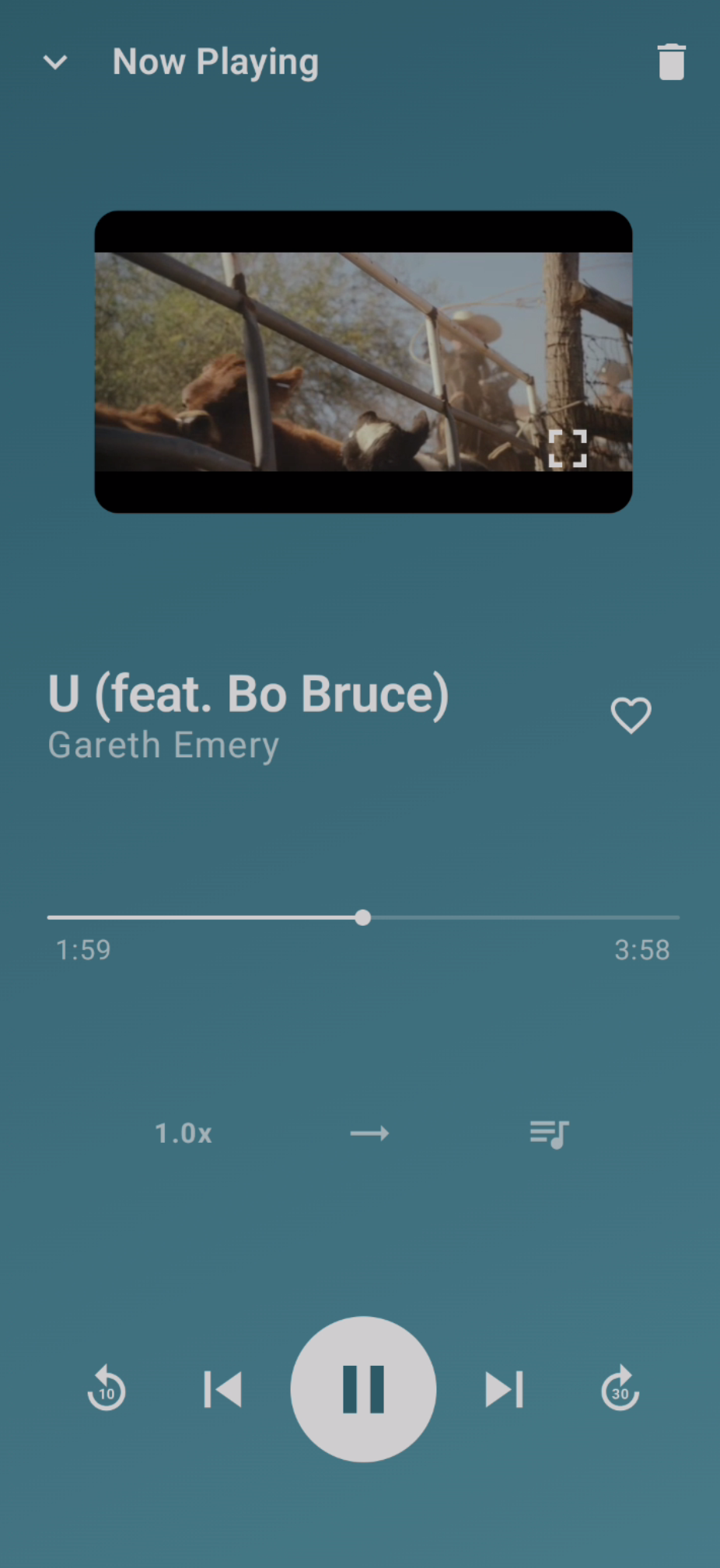 Video playback with inline player